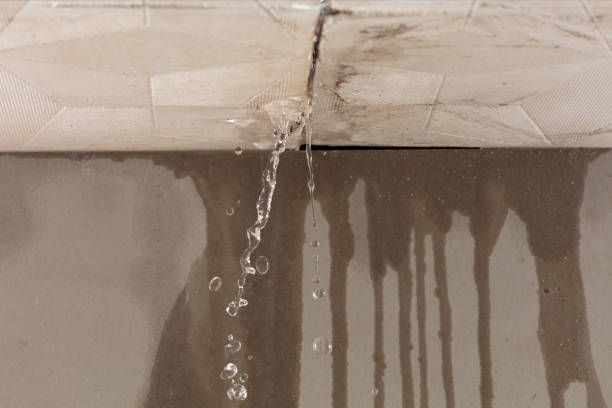 Professional Water Damage Inspection technician working in Perry, OH